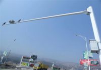 周振宇：努力打造全省領(lǐng)先、國(guó)內(nèi)一流的新型智慧城市示范城市